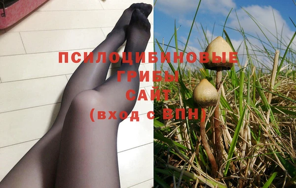 гашиш Арсеньев