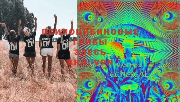 гашик Аркадак