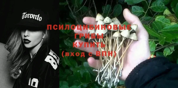 экстази Туринск