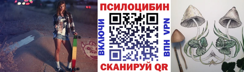хочу наркоту Черняховск Псилоцибиновые грибы Cubensis